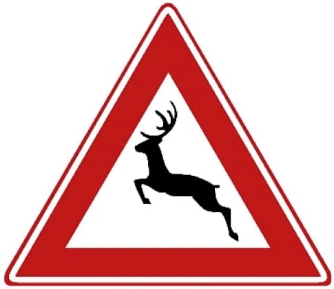 Wild animals