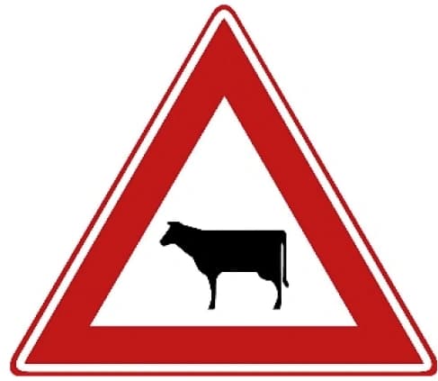 Livestock
